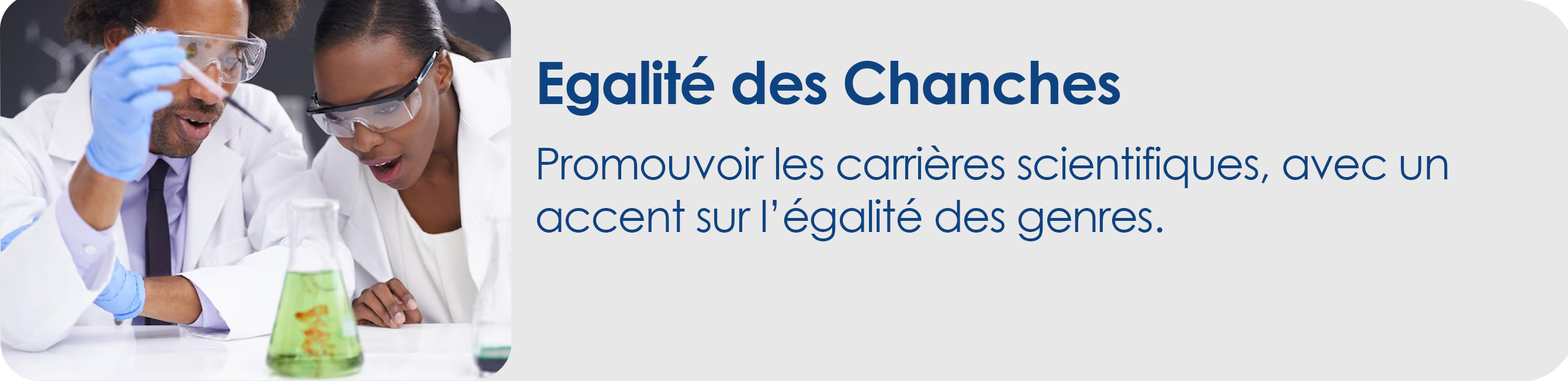 Egalité des chanches modifs